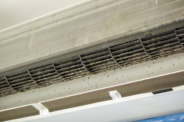 Best HVAC Duct Inspection Services  in Bernalillo, NM